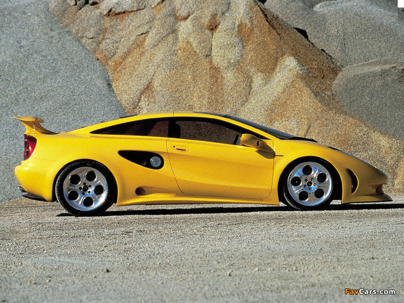 Lamborghini Cala 1995 photos (800 x 600)