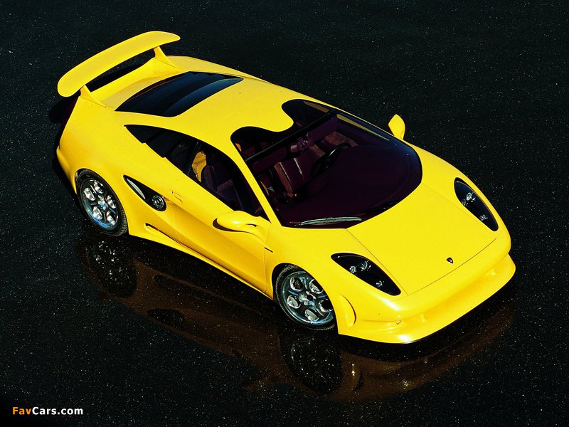 Lamborghini Cala 1995 photos (800 x 600)