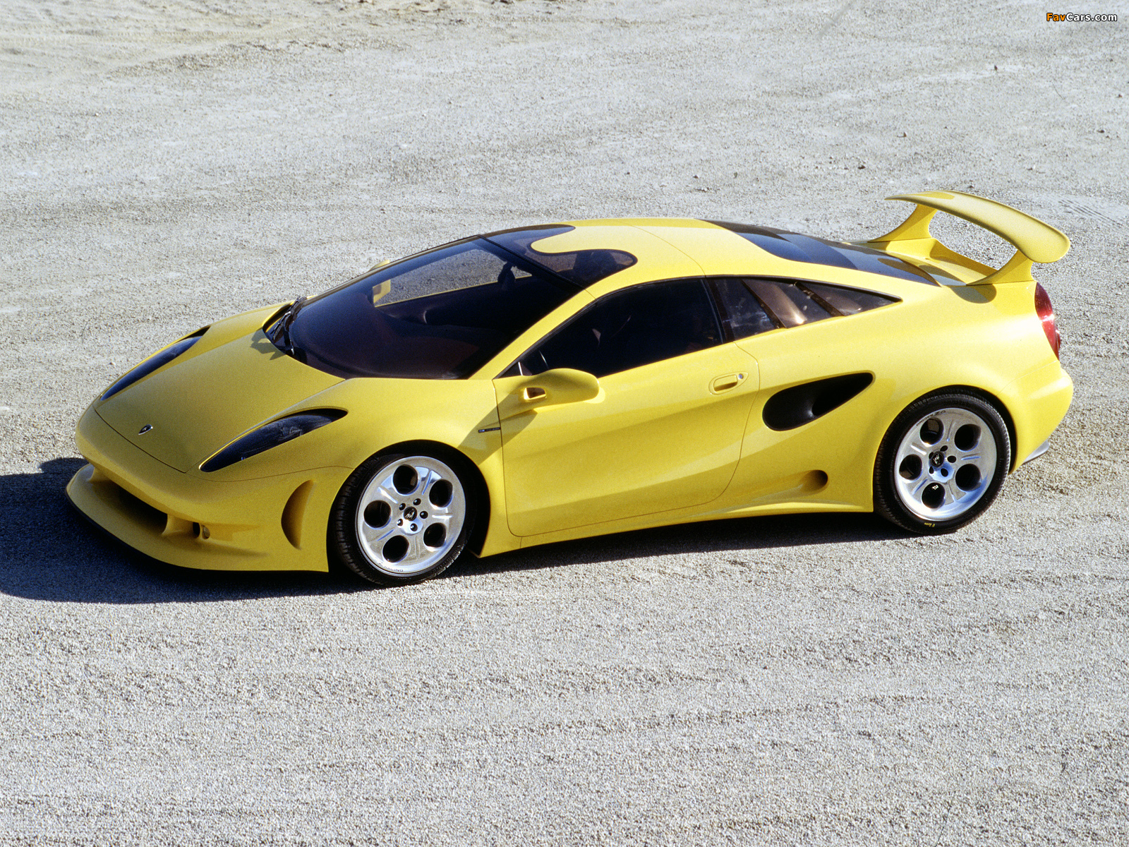 Pictures of Lamborghini Cala 1995 (1600 x 1200)