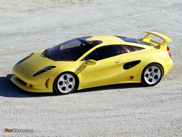 Pictures of Lamborghini Cala 1995 (640 x 480)