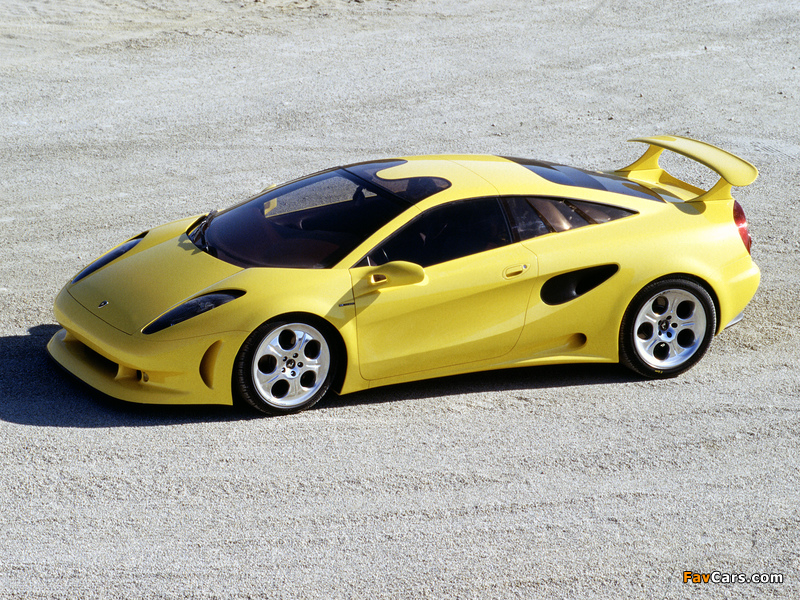 Pictures of Lamborghini Cala 1995 (800 x 600)