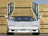 Lamborghini Countach 25th Anniversary UK-spec 1988–90 images