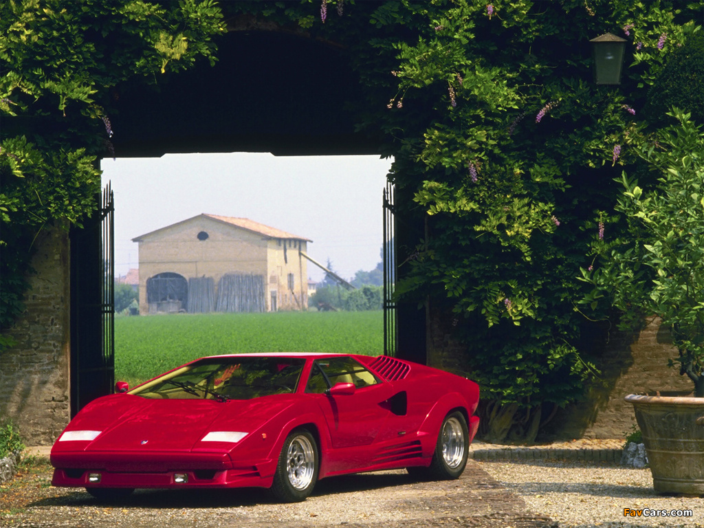 Lamborghini Countach 25th Anniversary 1988–90 photos (1024 x 768)