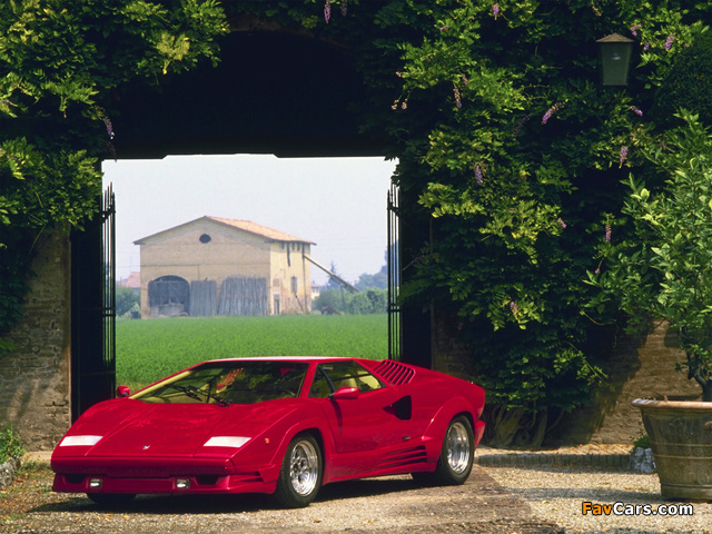 Lamborghini Countach 25th Anniversary 1988–90 photos (640 x 480)