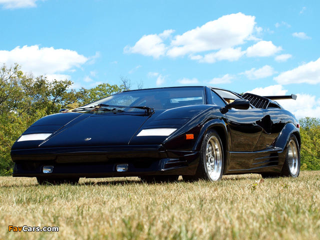 Lamborghini Countach 25th Anniversary 1988–90 photos (640 x 480)
