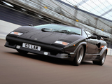 Lamborghini Countach 25th Anniversary UK-spec 1988–90 wallpapers