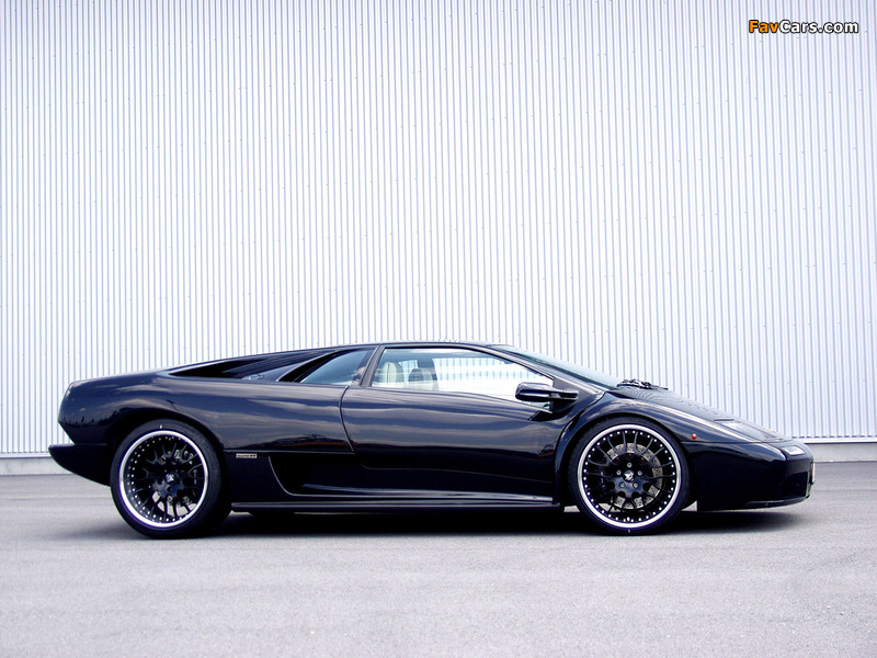 Pictures of Hamann Lamborghini Diablo (800 x 600)