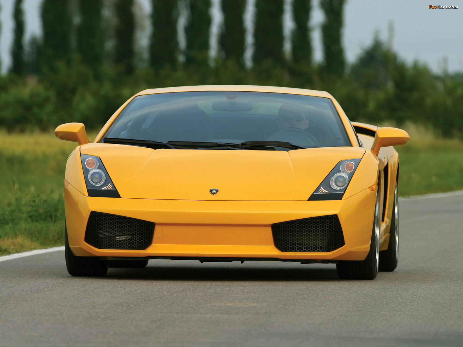 Lamborghini Gallardo 2003–08 photos (1600 x 1200)