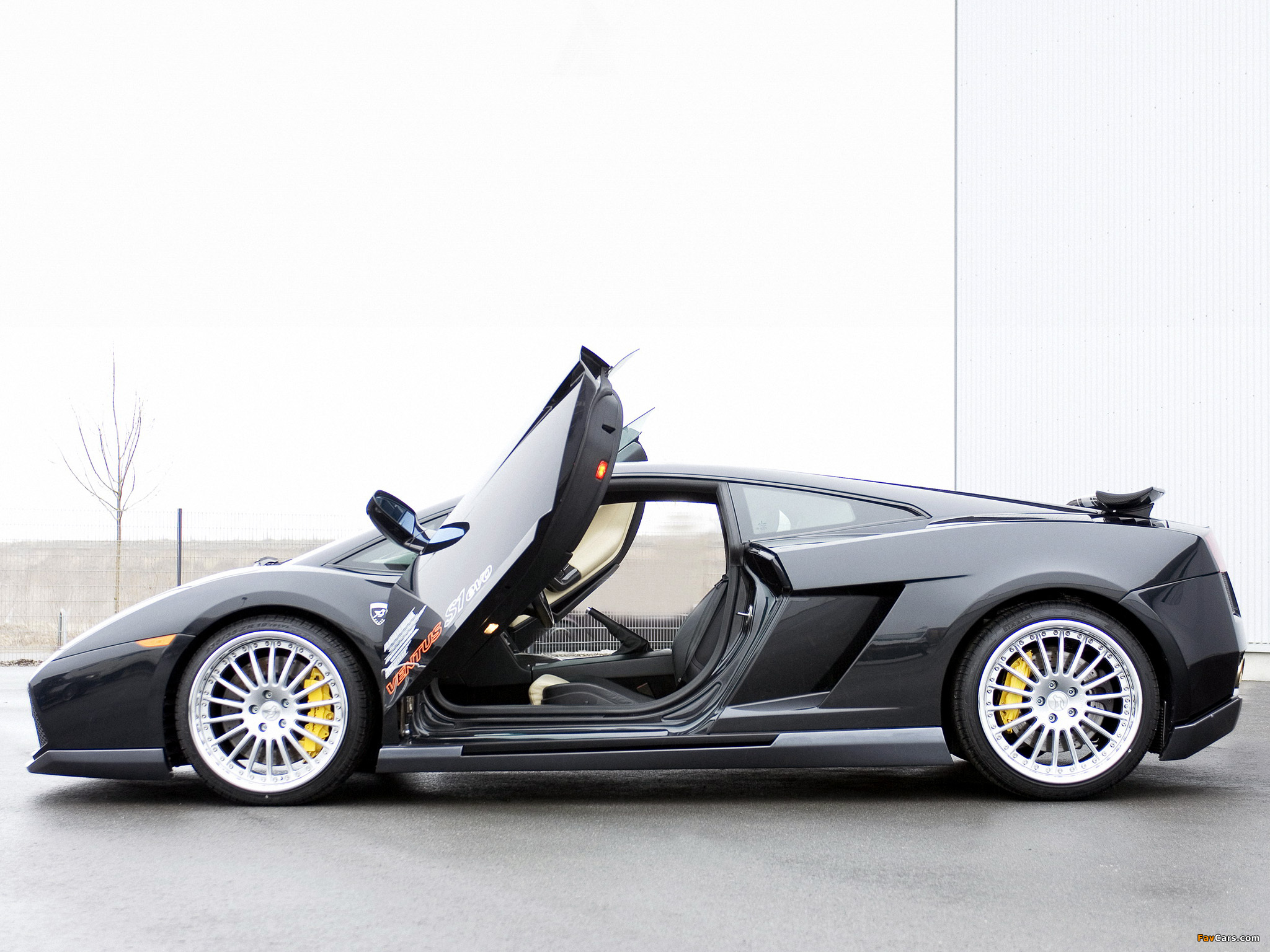 Hamann Lamborghini Gallardo 2004–08 images (2048 x 1536)