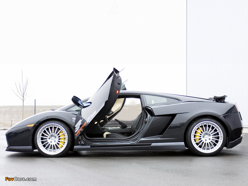 Hamann Lamborghini Gallardo 2004–08 images (800 x 600)