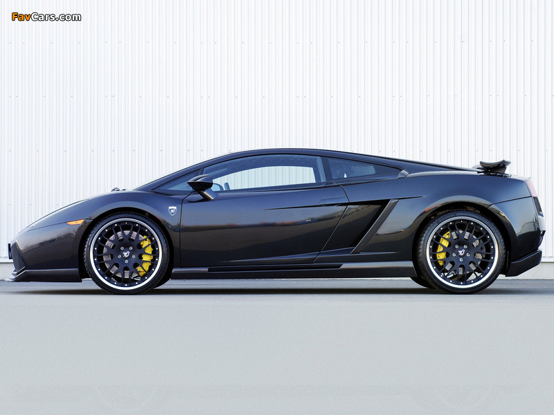 Hamann Lamborghini Gallardo 2004–08 wallpapers (800 x 600)