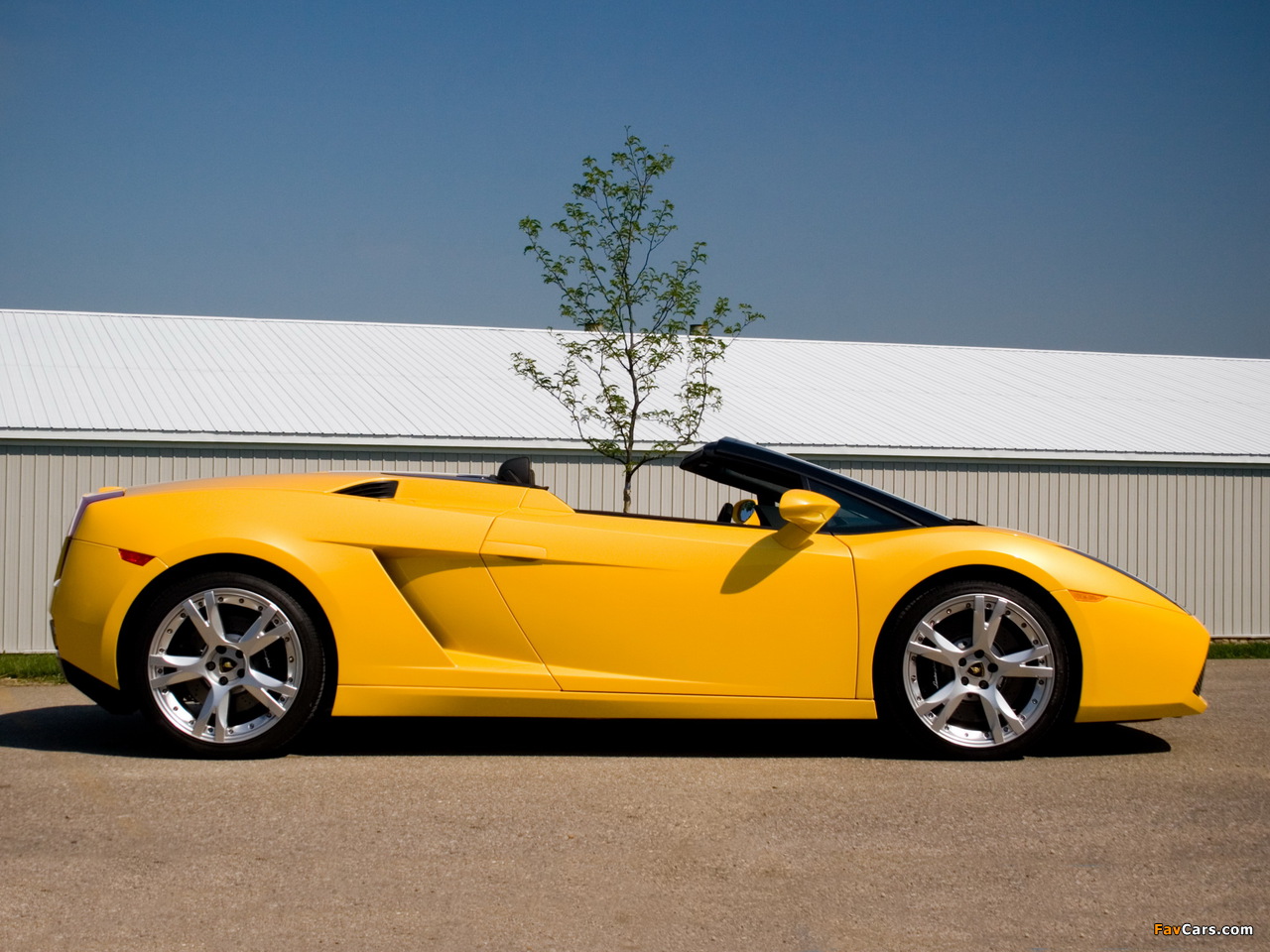 Lamborghini Gallardo Spyder US-spec 2006–08 photos (1280 x 960)