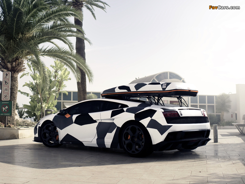 DMC Lamborghini Gallardo Neve Veloce 2011 wallpapers (800 x 600)