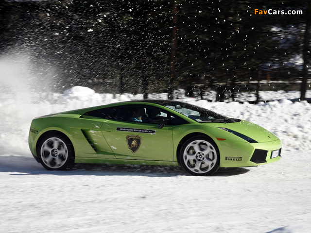 Photos of Lamborghini Gallardo 2003–08 (640 x 480)