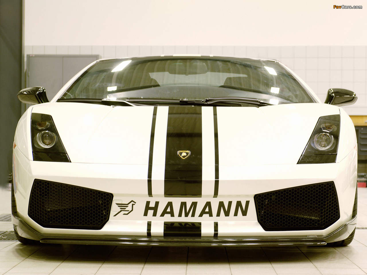 Photos of Hamann Lamborghini Gallardo 2004–08 (1280 x 960)