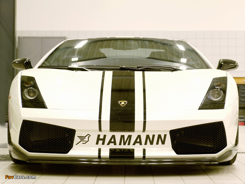 Photos of Hamann Lamborghini Gallardo 2004–08 (800 x 600)