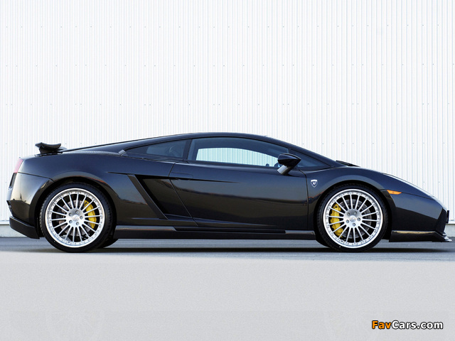 Pictures of Hamann Lamborghini Gallardo 2004–08 (640 x 480)