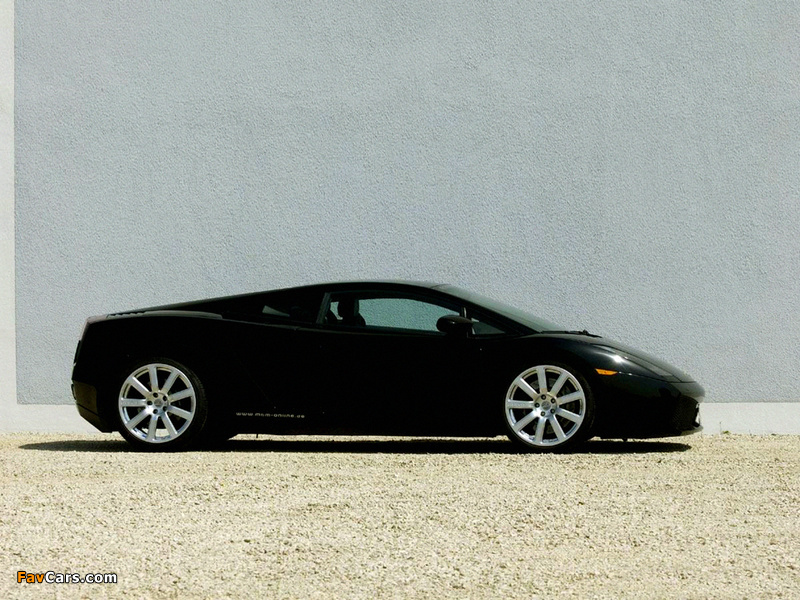 Pictures of MTM Lamborghini Gallardo 2006 (800 x 600)