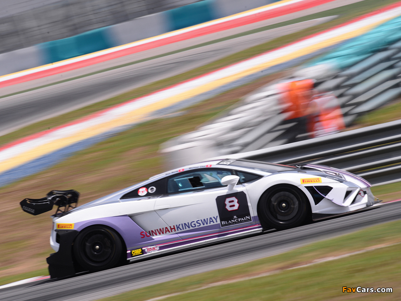 Pictures of Lamborghini Gallardo LP 570-4 Super Trofeo 2013 (800 x 600)