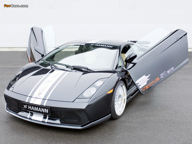 Hamann Lamborghini Gallardo 2004–08 wallpapers (800 x 600)