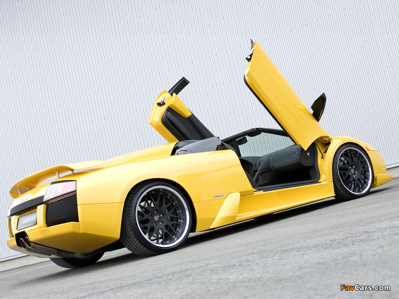 Hamann Lamborghini Murcielago Roadster wallpapers (800 x 600)