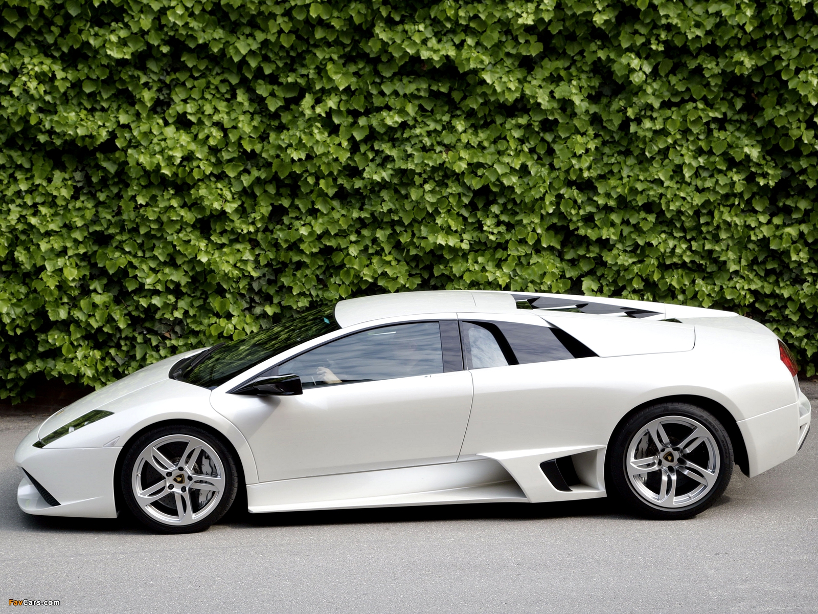 Lamborghini Murcielago LP640 2006–10 wallpapers (1600 x 1200)