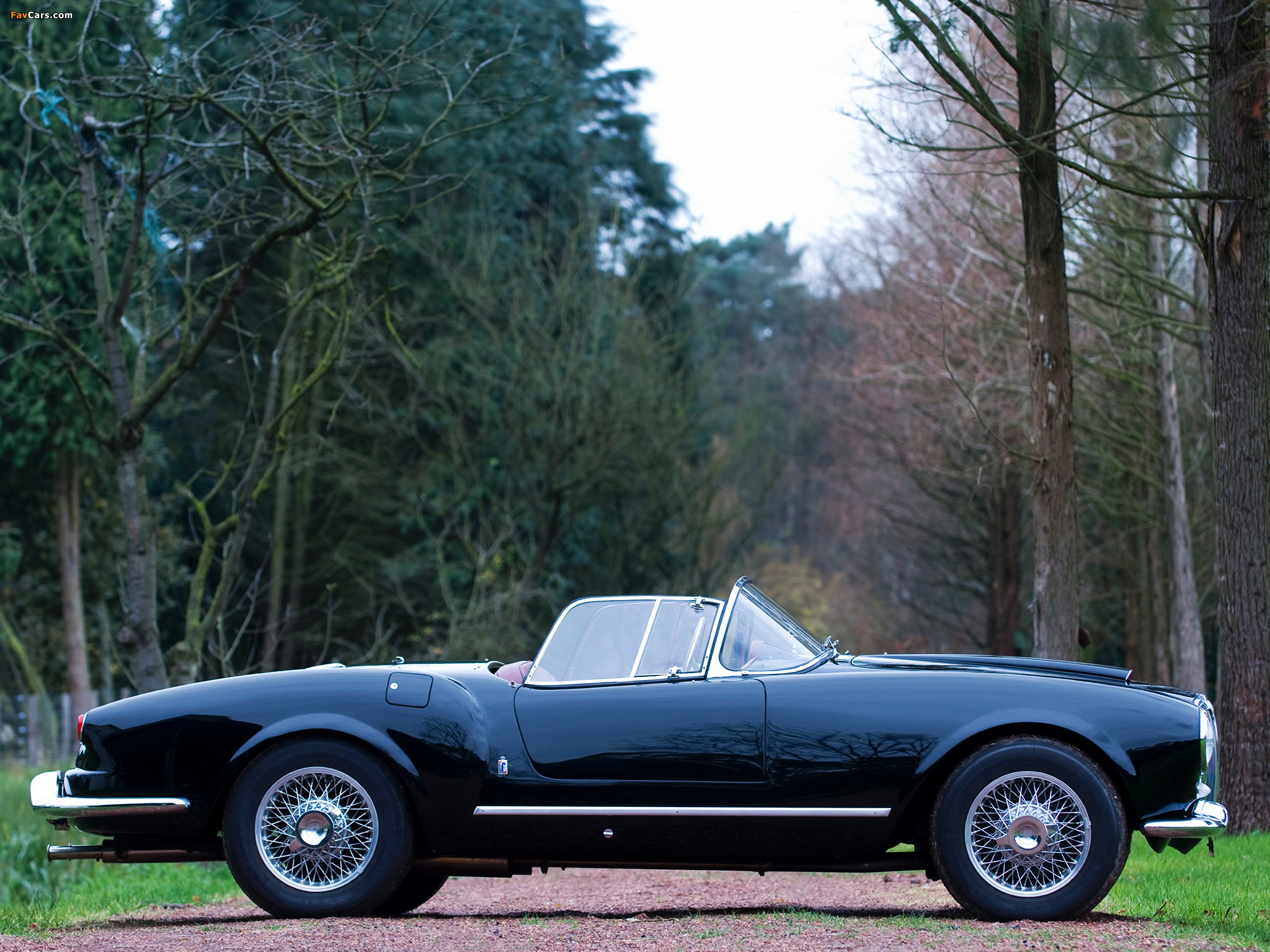 Photos of Lancia Aurelia GT Convertible (B24) 1954–55 (2048 x 1536)