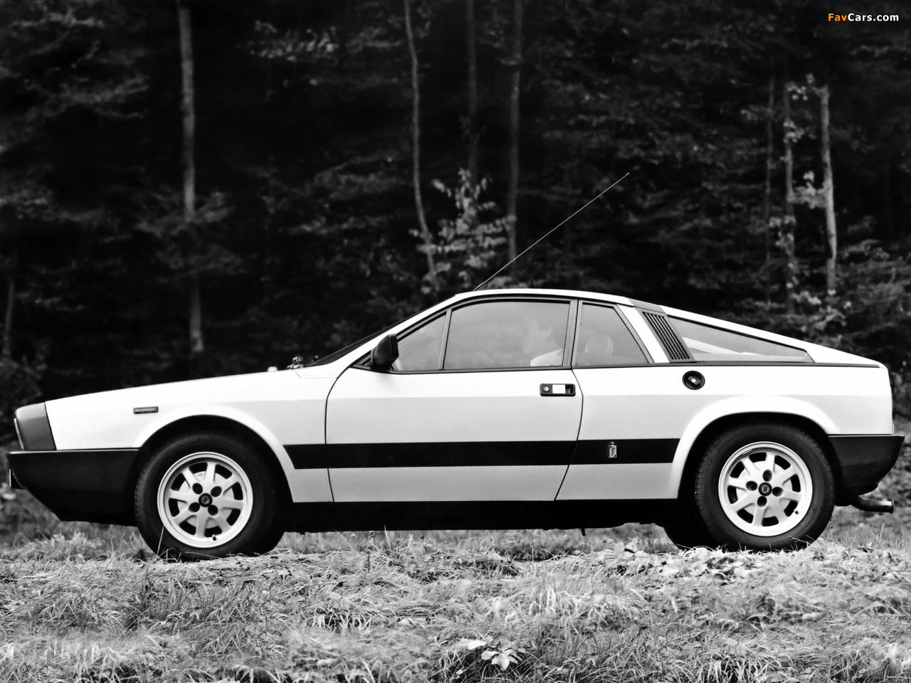 Images of Lancia Montecarlo 1979–81 (1280 x 960)