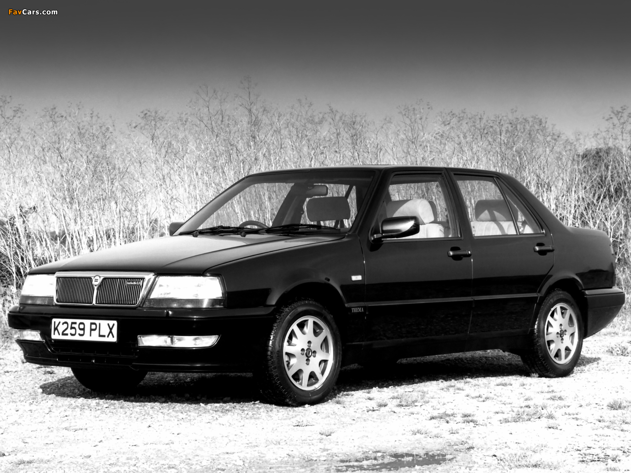 Pictures of Lancia Thema Turbo 16v UK-spec (834) 1992–94 (1280 x 960)
