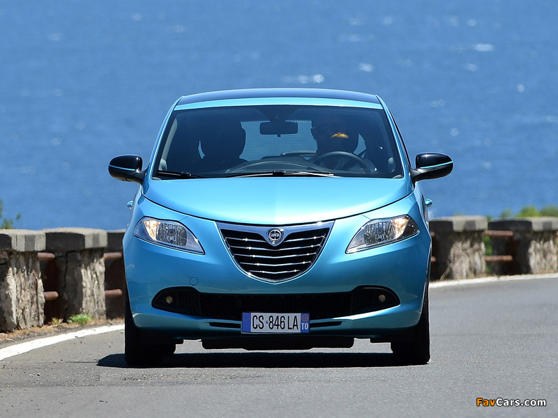 Images of Lancia Ypsilon Elefantino (846) 2013 (800 x 600)