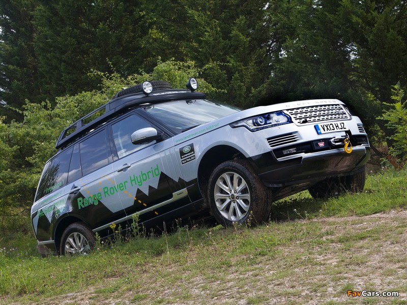 Range Rover Hybrid Prototype (L405) 2013 pictures (800 x 600)