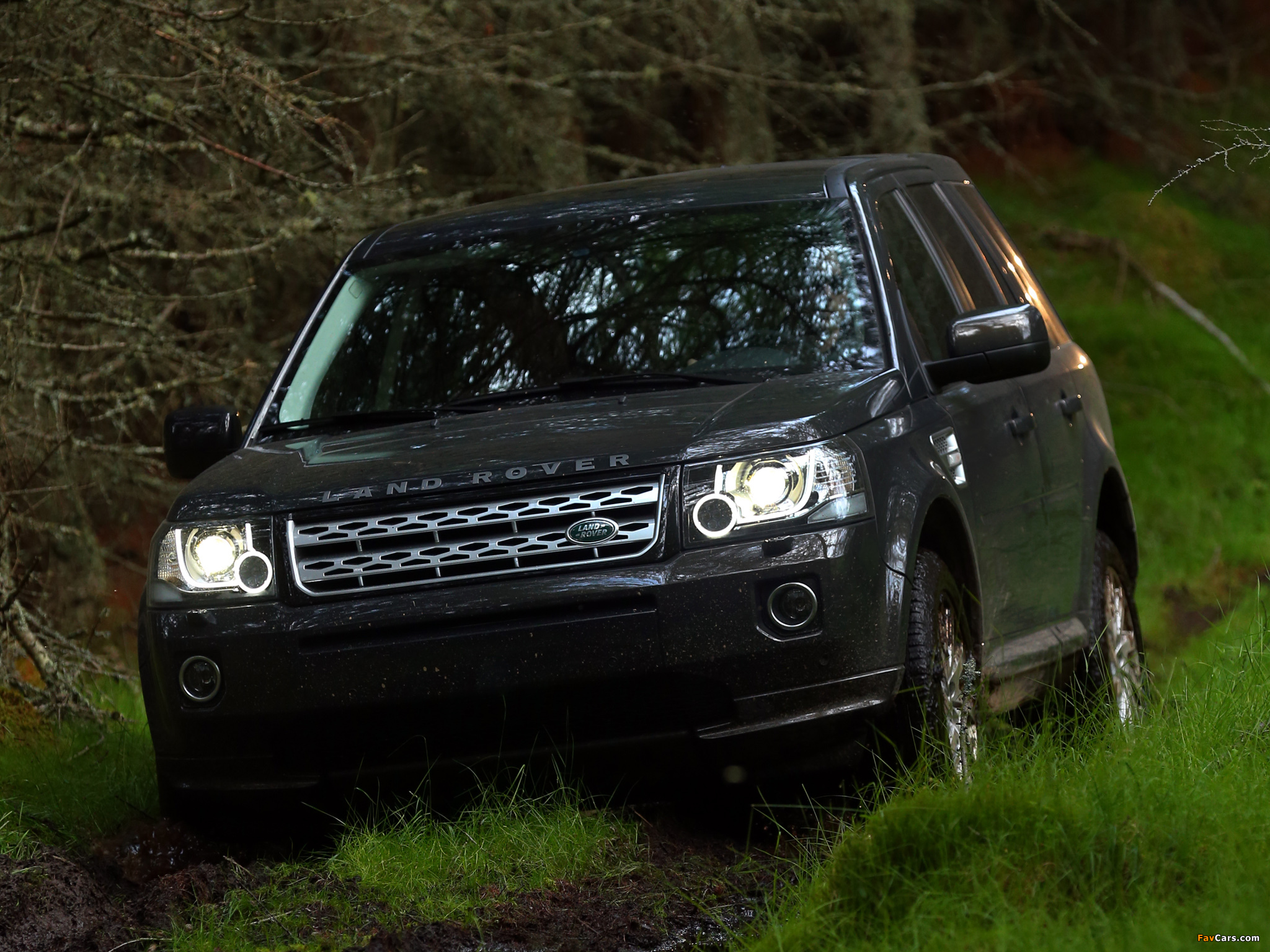 Images of Land Rover Freelander 2 SD4 2012 (2048 x 1536)