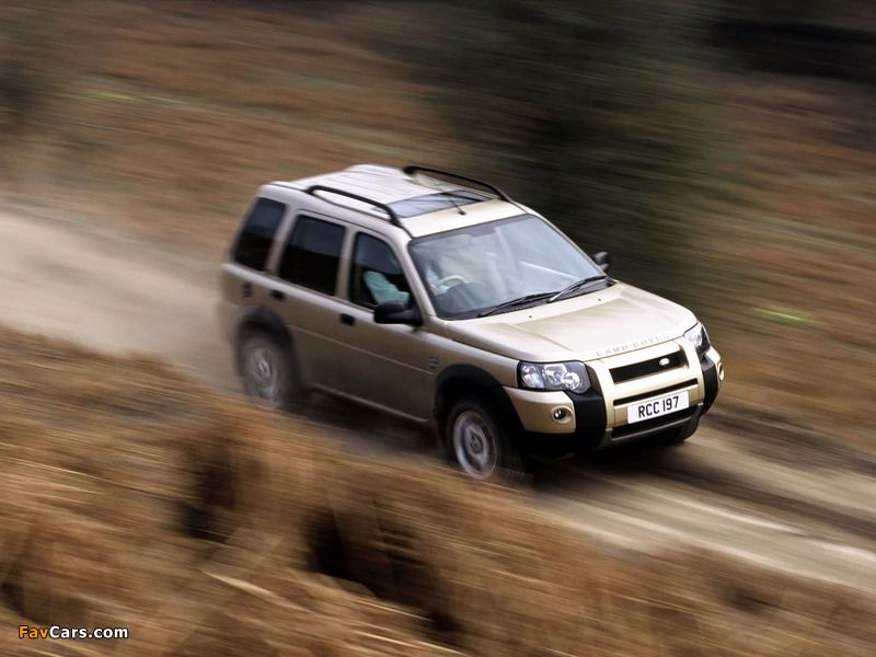 Land Rover Freelander 5-door 2003–06 wallpapers (800 x 600)