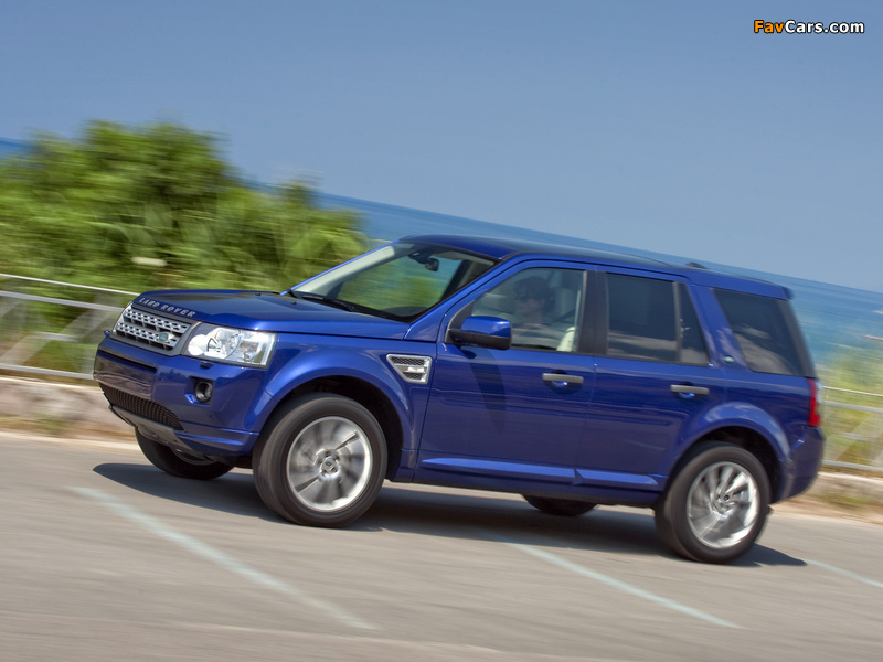 Land Rover Freelander 2 2010 pictures (800 x 600)