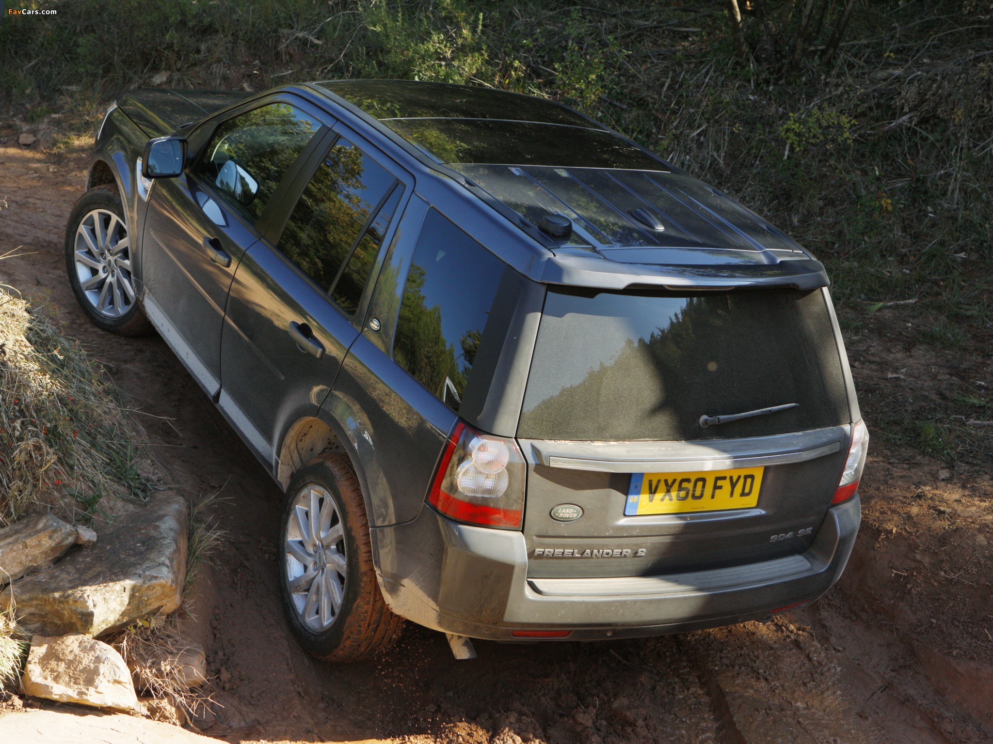 Land Rover Freelander 2 SD4 2010–12 pictures (2048 x 1536)