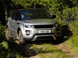 Images of Range Rover Evoque SD4 Dynamic UK-spec 2011