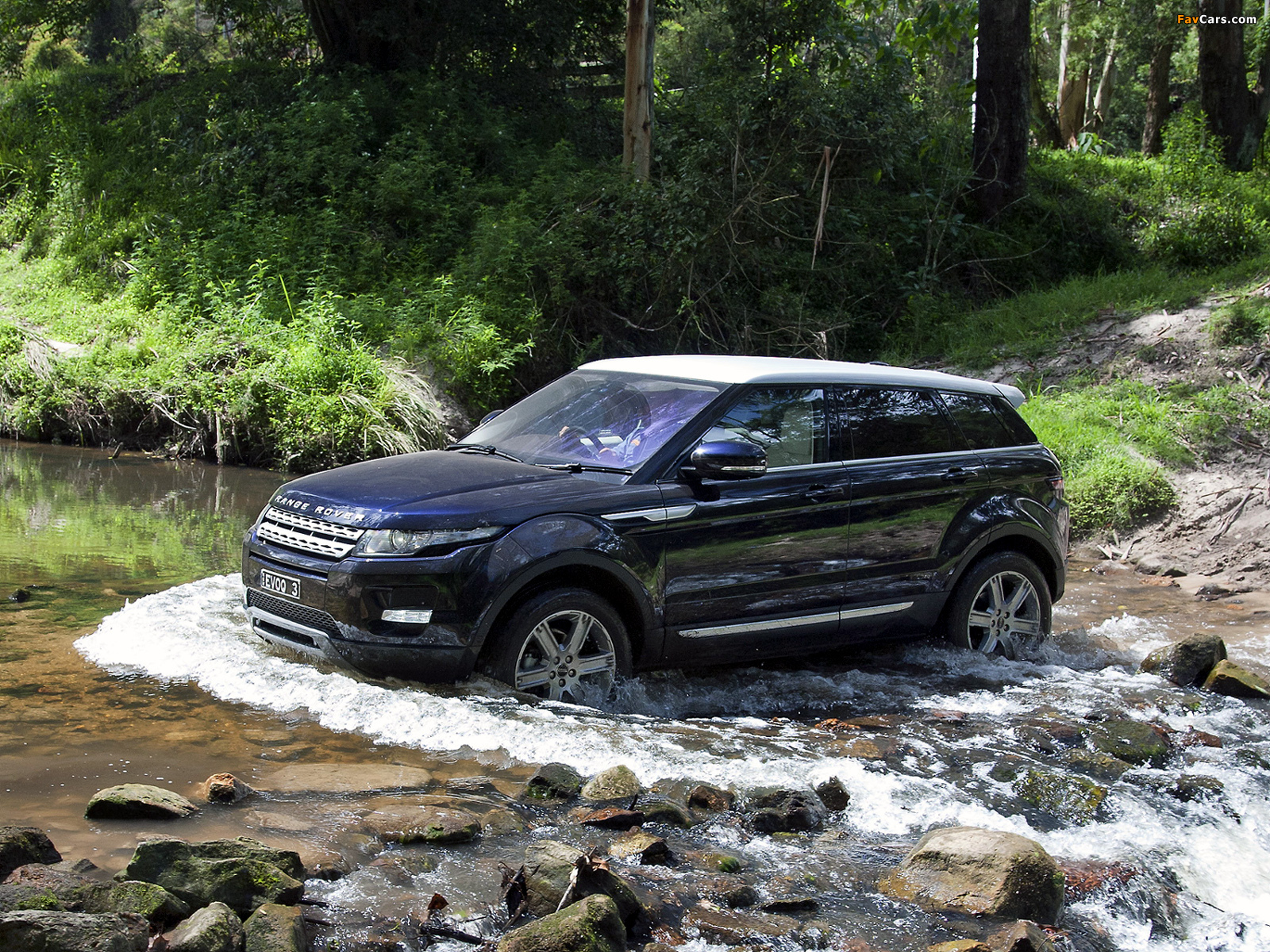 Range Rover Evoque Prestige AU-spec 2011 pictures (1600 x 1200)