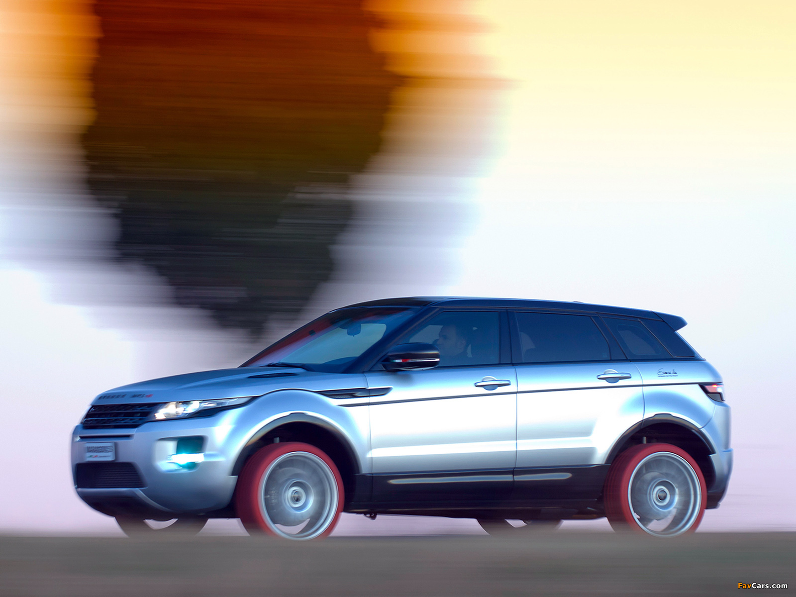 Pictures of Marangoni Evoque HFI-R 2011 (1600 x 1200)