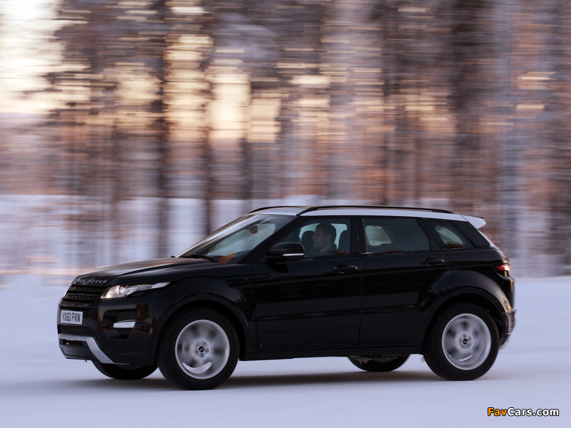 Pictures of Range Rover Evoque Dynamic 2011 (800 x 600)