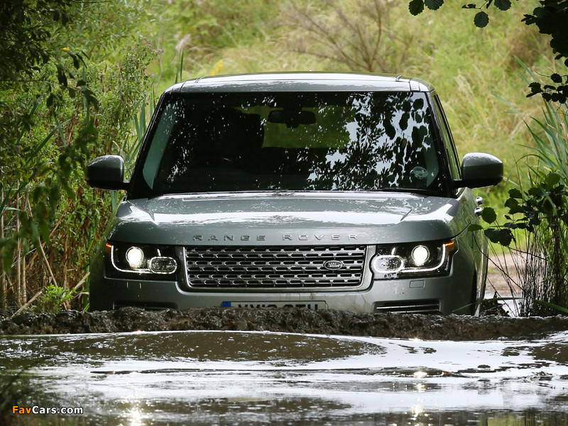 Pictures of Range Rover Vogue TDV6 UK-spec (L405) 2012 (800 x 600)