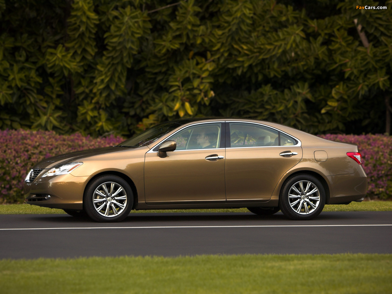 Lexus ES 350 2006–09 wallpapers (1280 x 960)