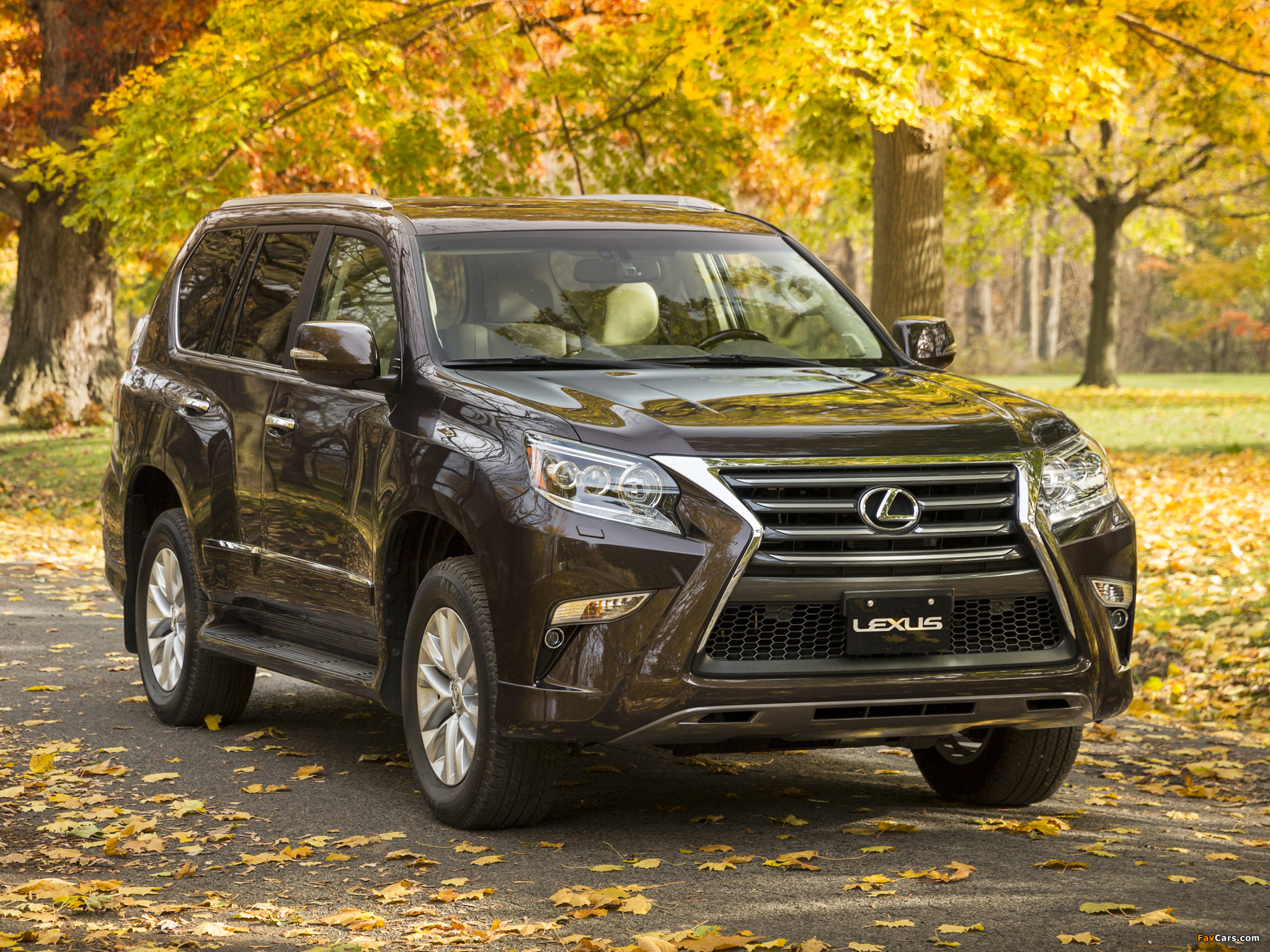 Lexus GX 460 (URJ150) 2013 pictures (2048 x 1536)