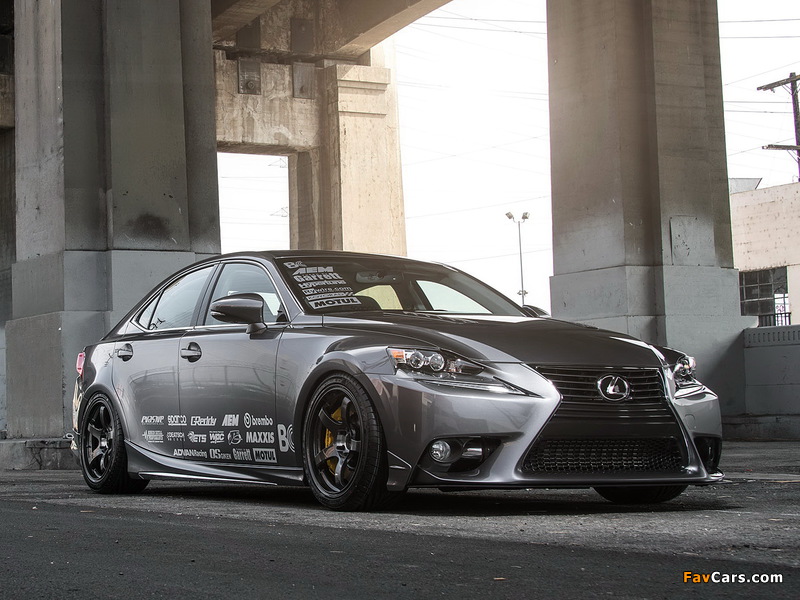 Images of Lexus IS 340 by Philip Chase (XE30) 2013 (800 x 600)