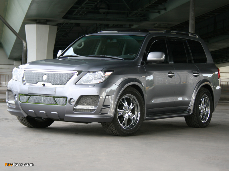 Images of STRUT Lexus LX 570 (URJ200) 2008 (800 x 600)