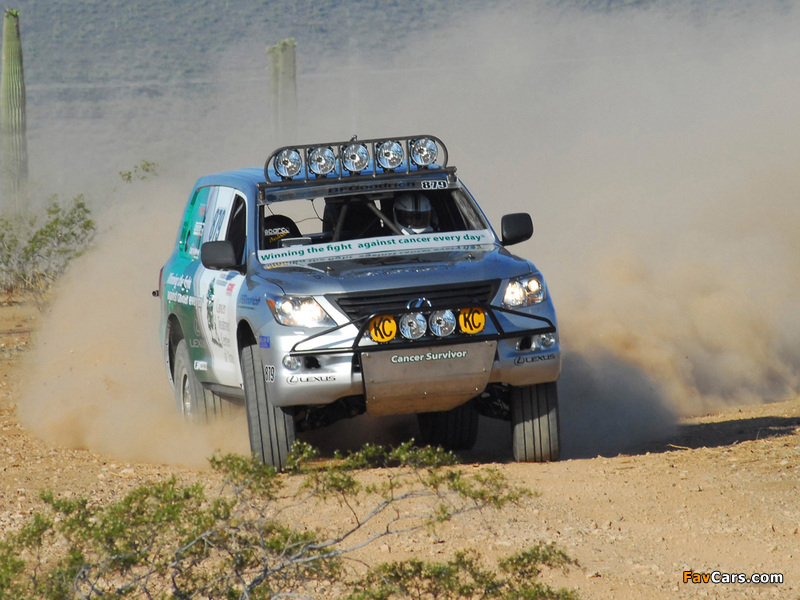 Photos of Lexus L 570 Baja Race Car (URJ200) 2009 (800 x 600)