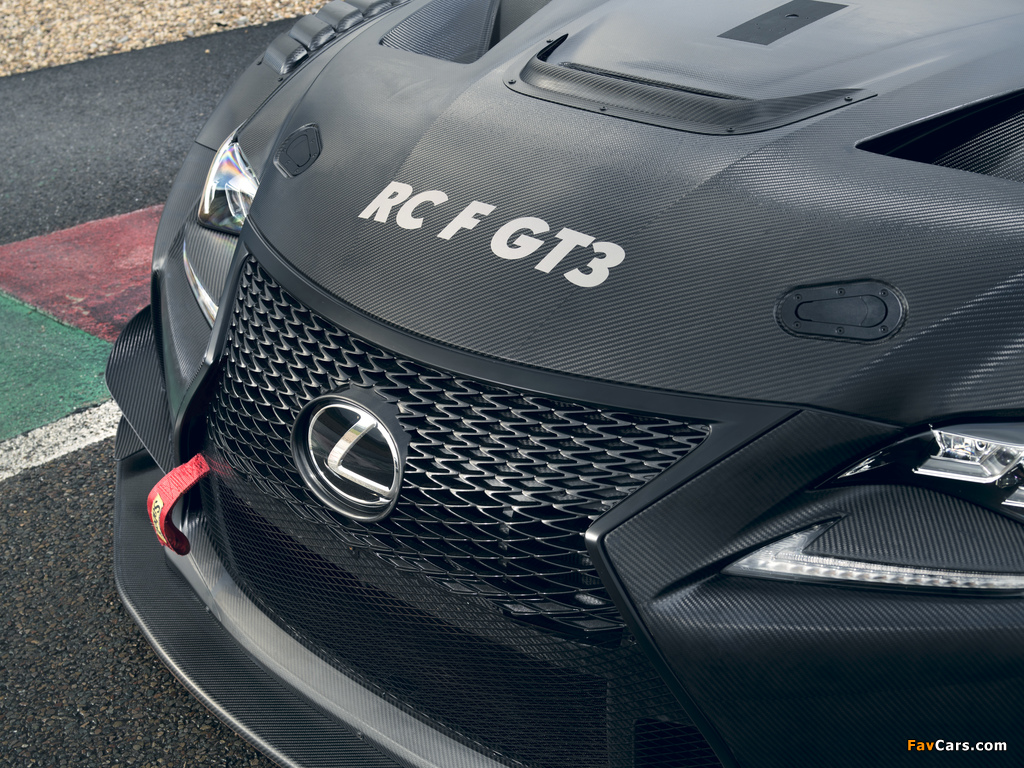 Lexus RC F GT3 2017 images (1024 x 768)
