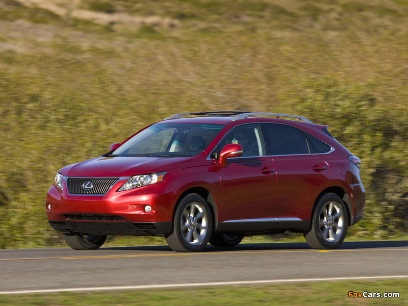 Images of Lexus RX 350 2009–12 (800 x 600)