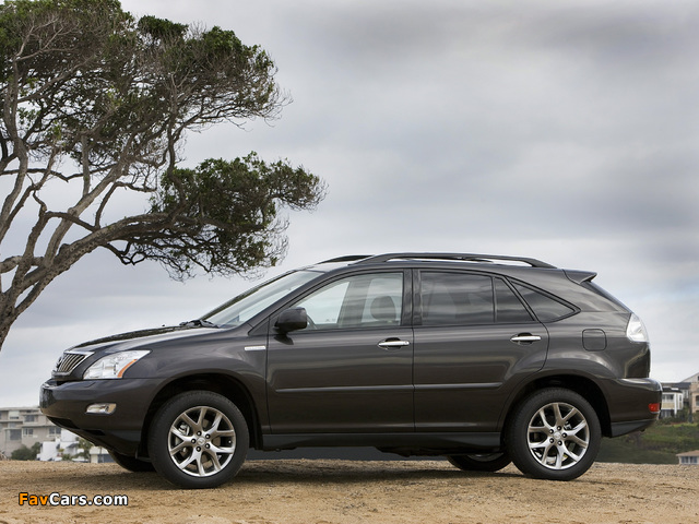 Lexus RX 350 Pebble Beach Edition 2008 images (640 x 480)