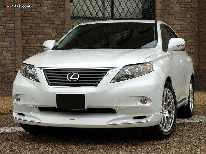 LX-Mode Lexus RX 350 2009–12 images (800 x 600)