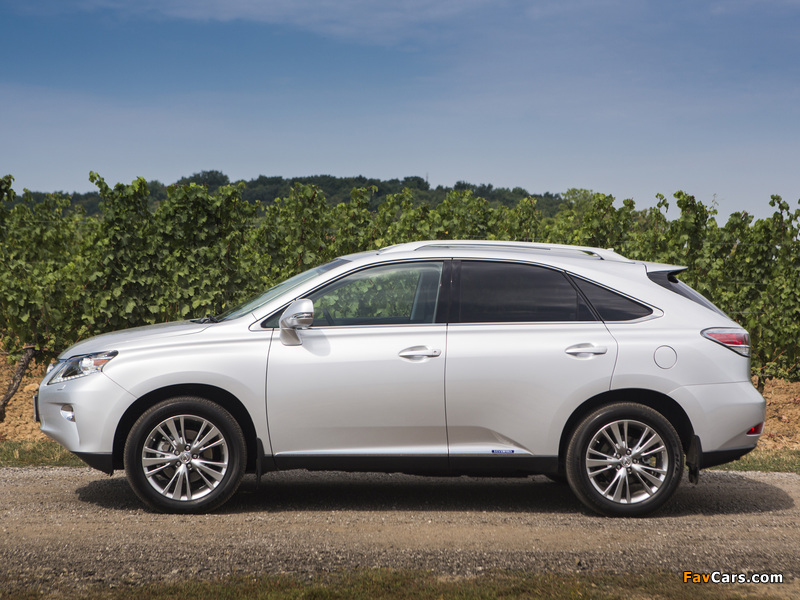 Lexus RX 450h 2012 wallpapers (800 x 600)